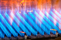 Hoaden gas fired boilers